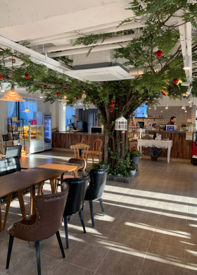 Commercial Interior Designs In Bangalore